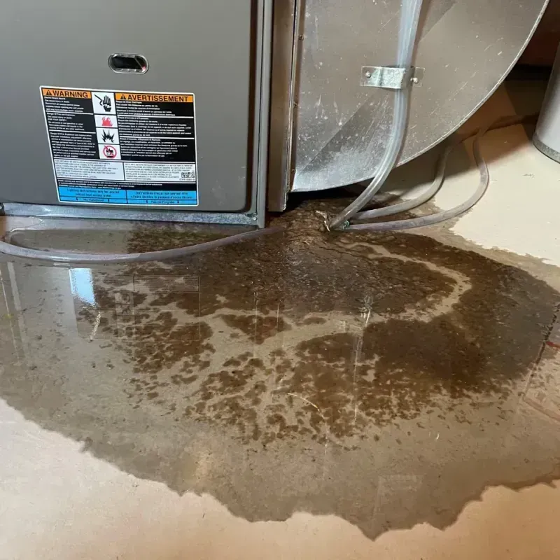 Appliance Leak Cleanup in Edgewood, IN